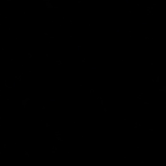 Meet your Posher, Conrad - Picture 1 of 1